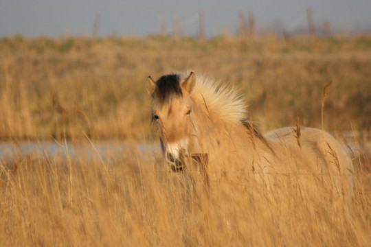 Photo de profil de kiaral