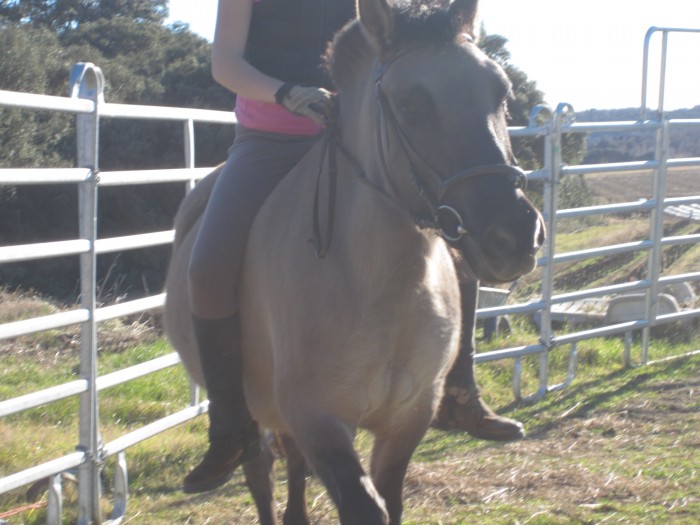Photo de profil de kiramathilde26