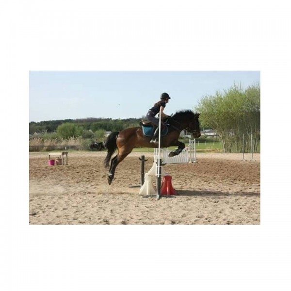 Photo de profil de kouni16