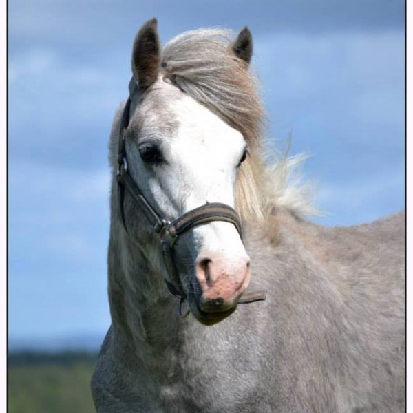 Photo de profil de kzapa_kiya