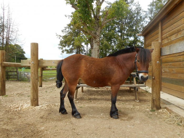 Photo de profil de lachine