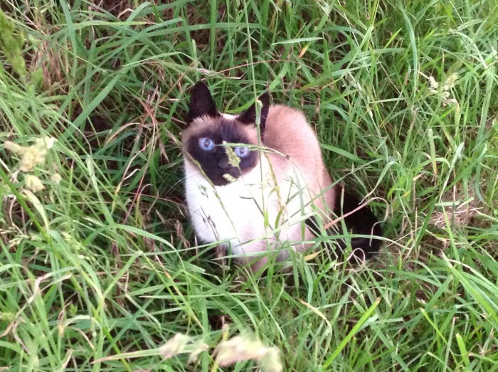 Photo de profil de ladyspoony