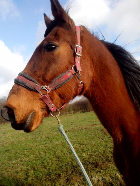 Photo de profil de latora08