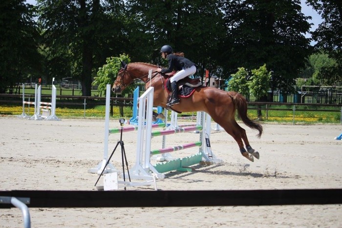 Photo de profil de lauraah