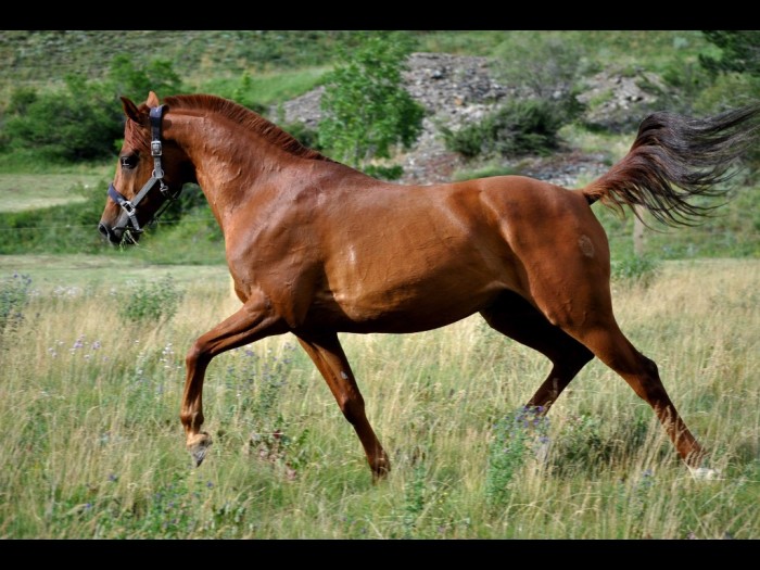 Photo de profil de laure.05