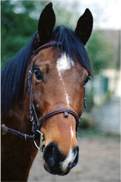 Photo de profil de lauriane77