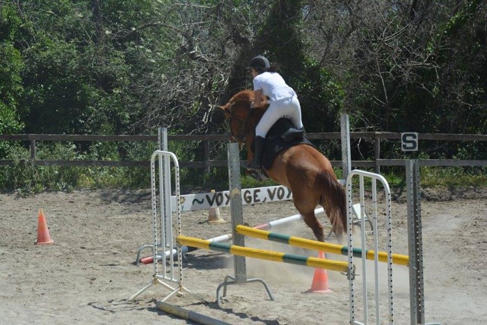 Photo de profil de lauriekoehler