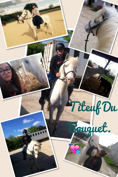 Photo de profil de laurie.titeuf