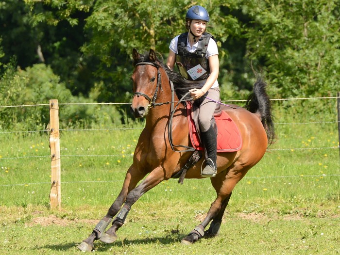 Photo de profil de leaelizabeth