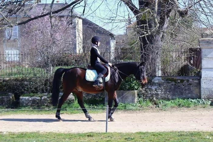 Photo de profil de leapingault