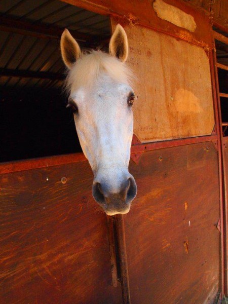 Photo de profil de leasprunck