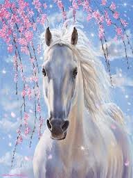 Photo de profil de leonieetlaureen