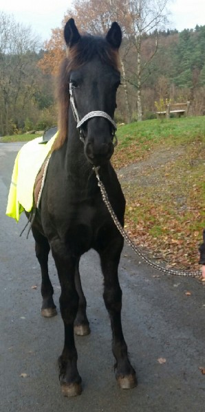 Photo de profil de leonie.mangue