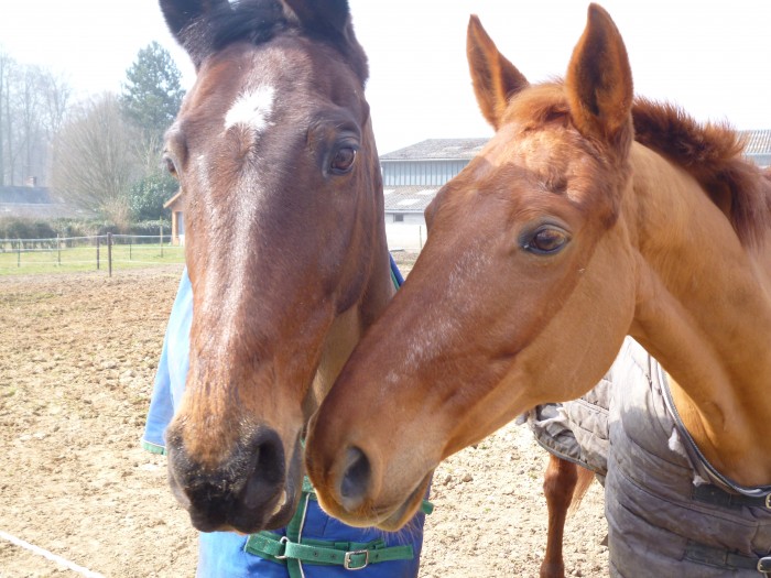 Photo de profil de lilisedu76