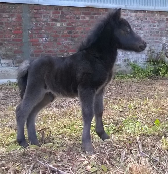 Photo de profil de lillytom