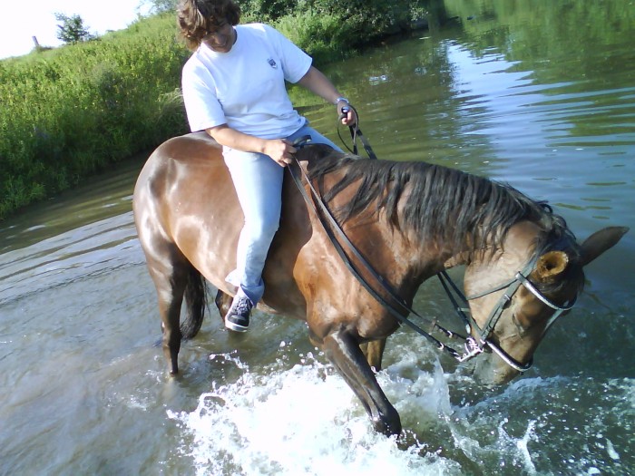 Photo de profil de linottedeshutte