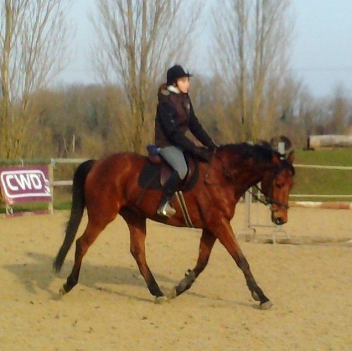 Photo de profil de littlestar