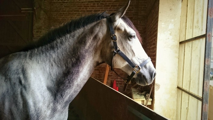 Photo de profil de loladyn