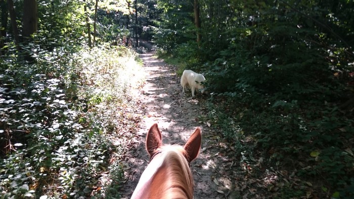 Photo de profil de lolimay