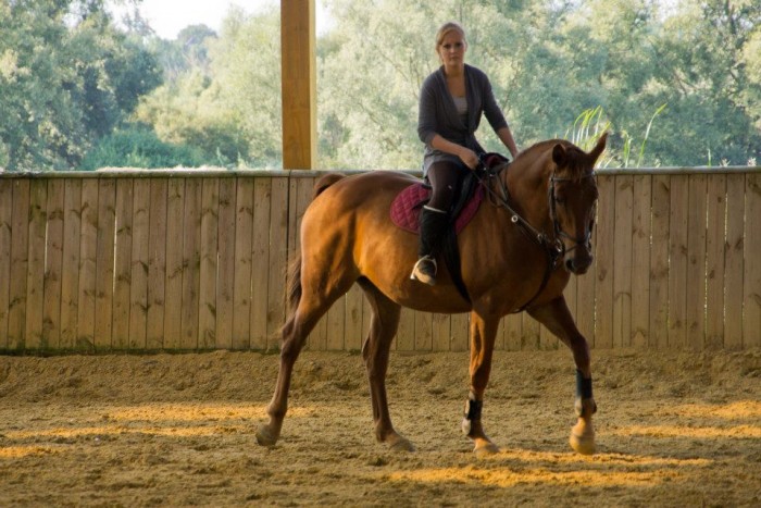 Photo de profil de lotusdec