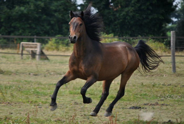 Photo de profil de loucnn