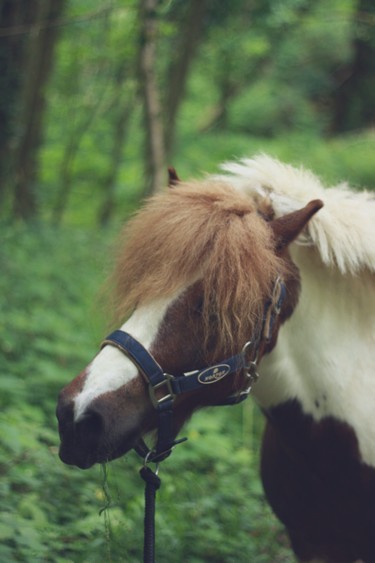 Photo de profil de louderthanbells