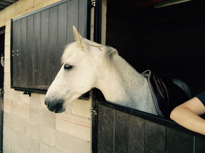 Photo de profil de louducati