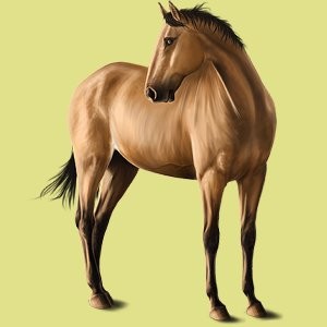 Photo de profil de louisa.cheval