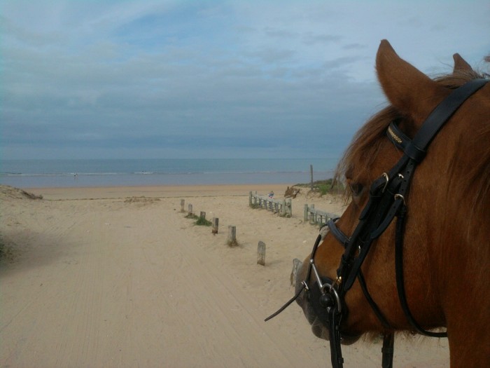 Photo de profil de lourion