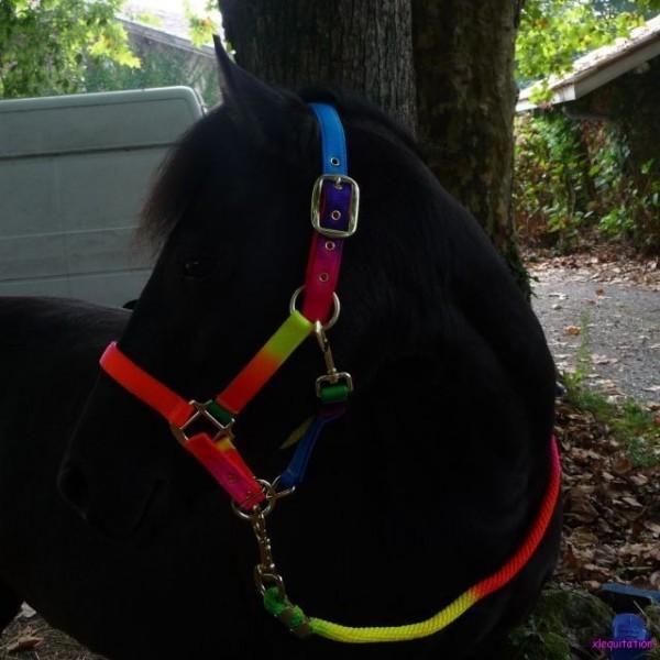 Photo de profil de loveyouponeyyy