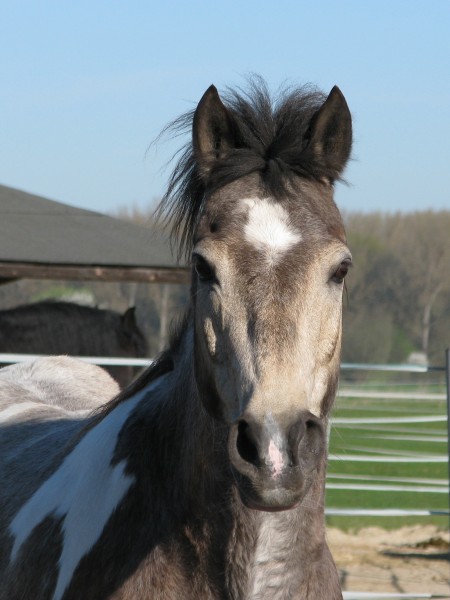 Photo de profil de luckyme