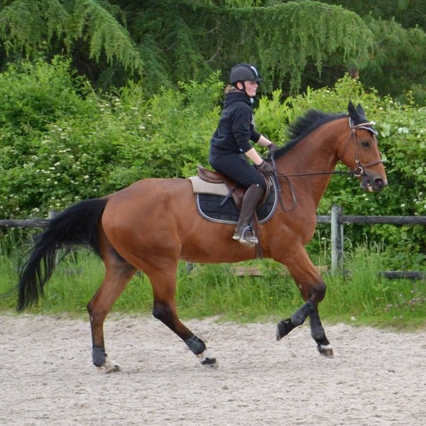 Photo de profil de ludivinehenry