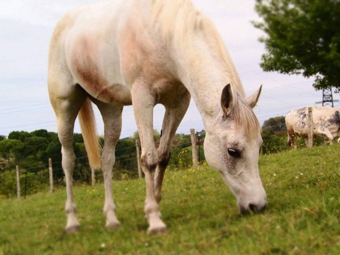 Photo de profil de luludamour