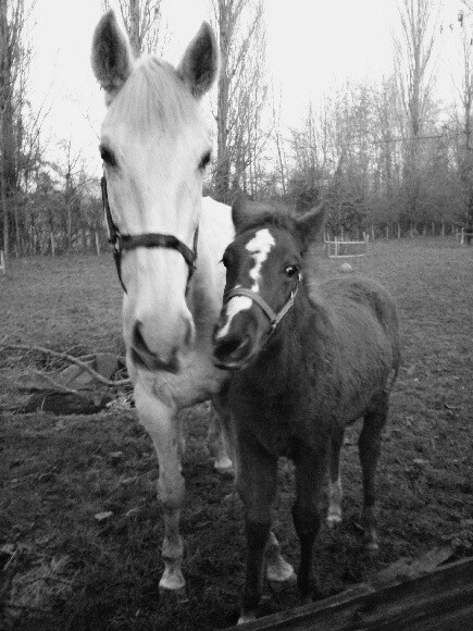 Photo de profil de luludu33580