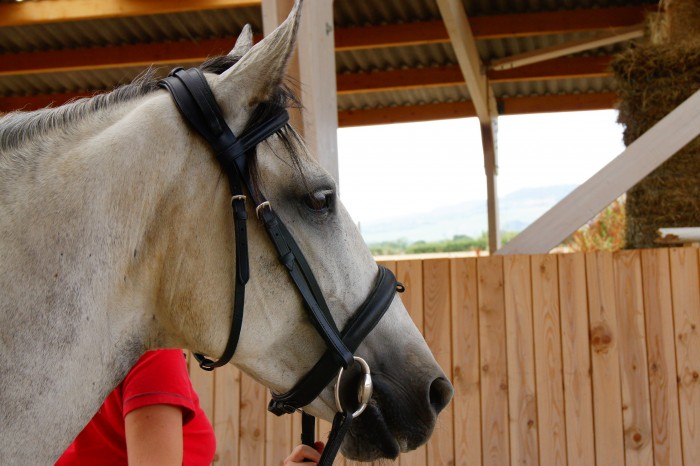 Photo de profil de luminoux
