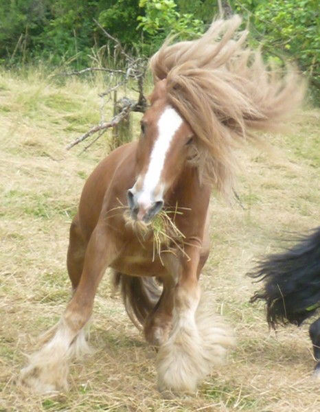 Photo de profil de lunacaramel