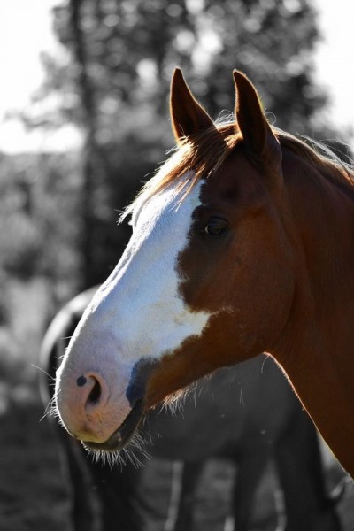 Photo de profil de maemi