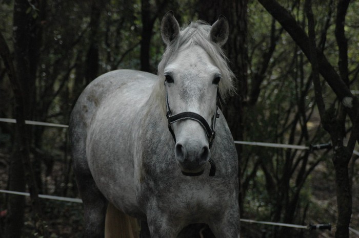 Photo de profil de magali.barbarin