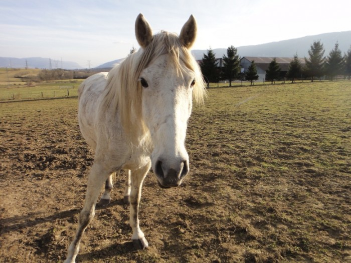 Photo de profil de magalimi