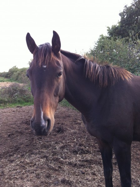 Photo de profil de majoricat