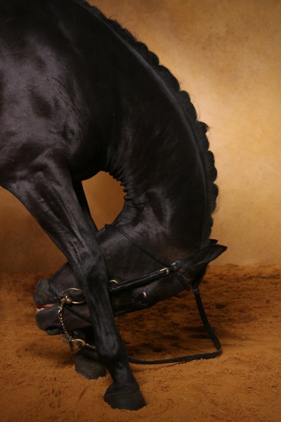 Photo de profil de mama007