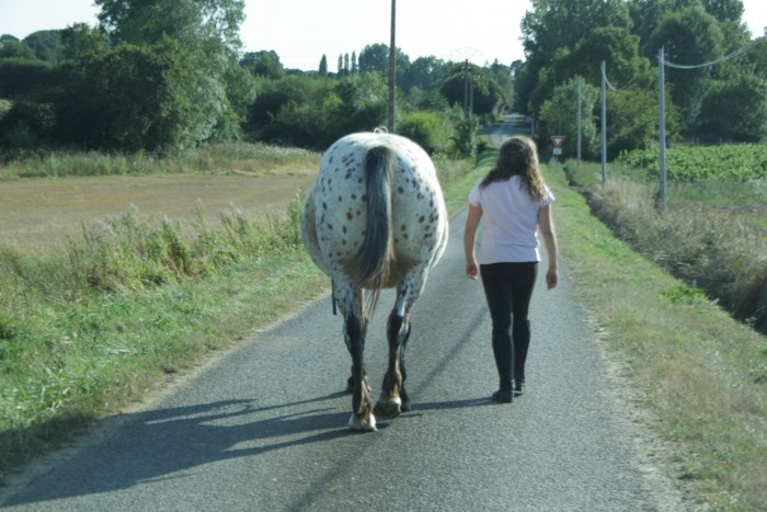 Photo de profil de manon44116