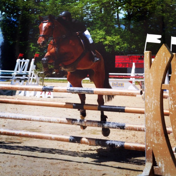 Photo de profil de manonpuzzle38