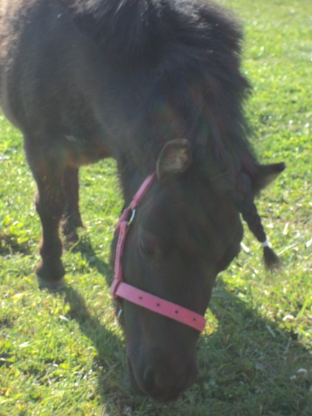 Photo de profil de margauxkimy