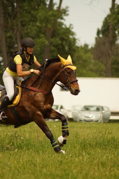 Photo de profil de margaux_odle
