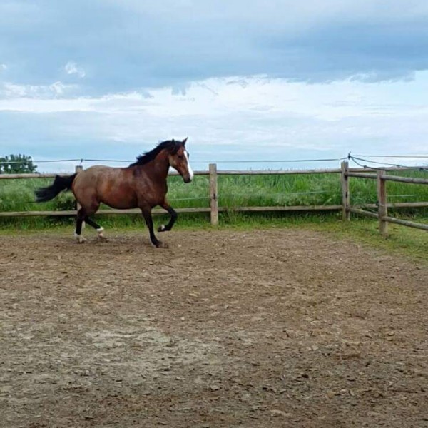 Photo de profil de margaux_quismy