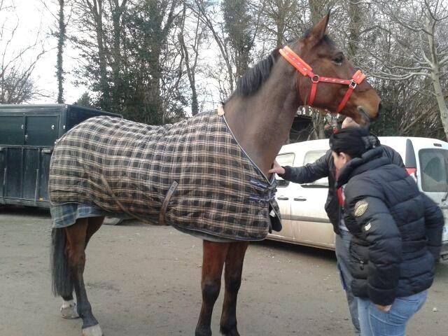 Photo de profil de marieange63