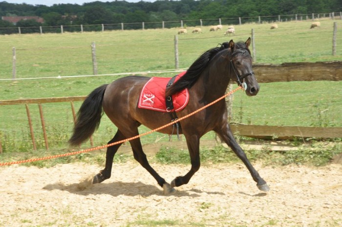 Photo de profil de mariechocolat