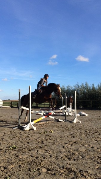 Photo de profil de mariednl