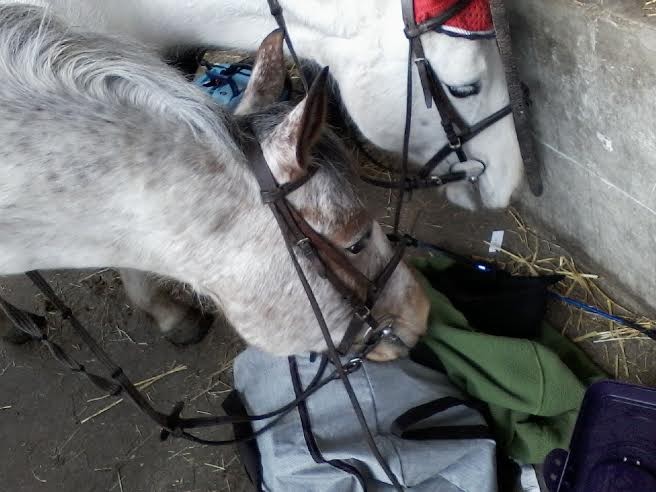 Photo de profil de marieetviolette